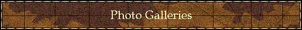 Photo Galleries